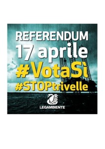 thumbnail of vademecum_referendum
