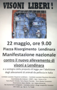 visoni-liberi-lendinara