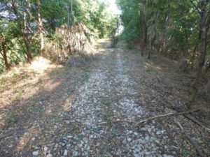 thumbnail of foto-2-settembre-2016