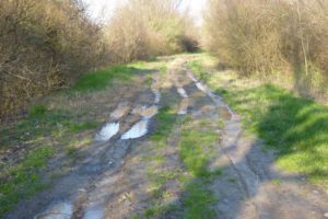 thumbnail of foto-3-aprile-2016