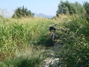 thumbnail of foto-4-settembre-2016