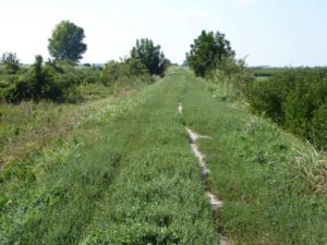 thumbnail of foto-7-settembre-2016
