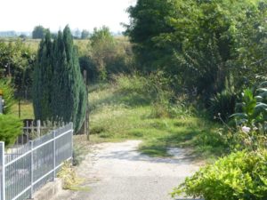 thumbnail of foto-8-settembre-2016