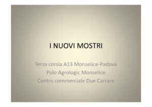 thumbnail of I NUOVI MOSTRI