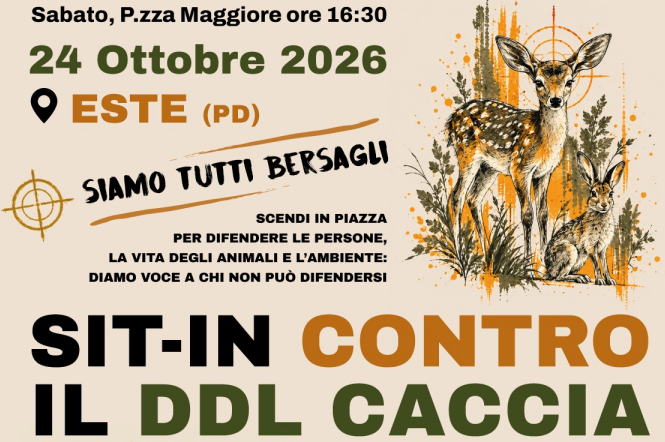“Siamo tutti bersagli”: il 24 ottobre sit-in a Este contro il DDL caccia